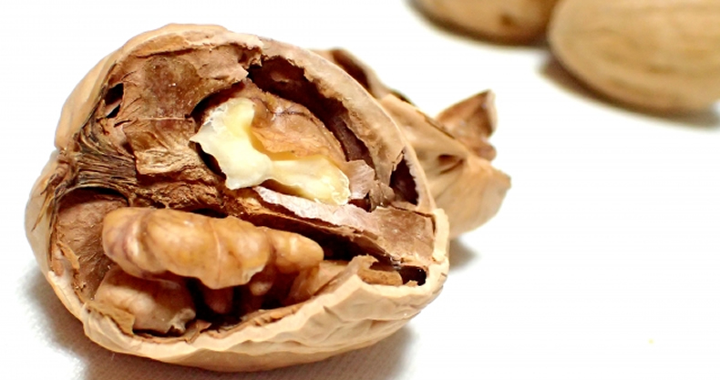 胡桃（クルミ）